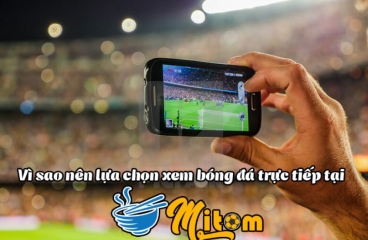 Mitom TV - Chia sẻ đam mê xem bóng đá trực tuyến cho mọi người